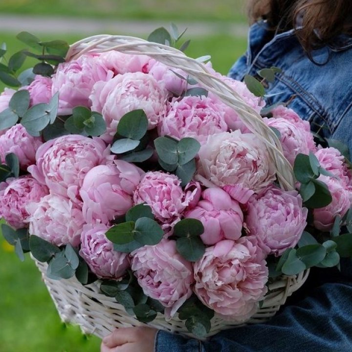 51 пион в корзине в Шанхае